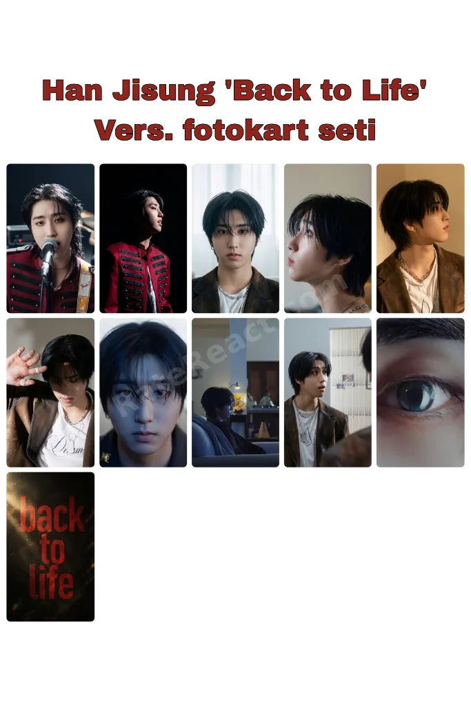 Stray kids Fotokart seti ' Han Jisung back to life fotokart seti '