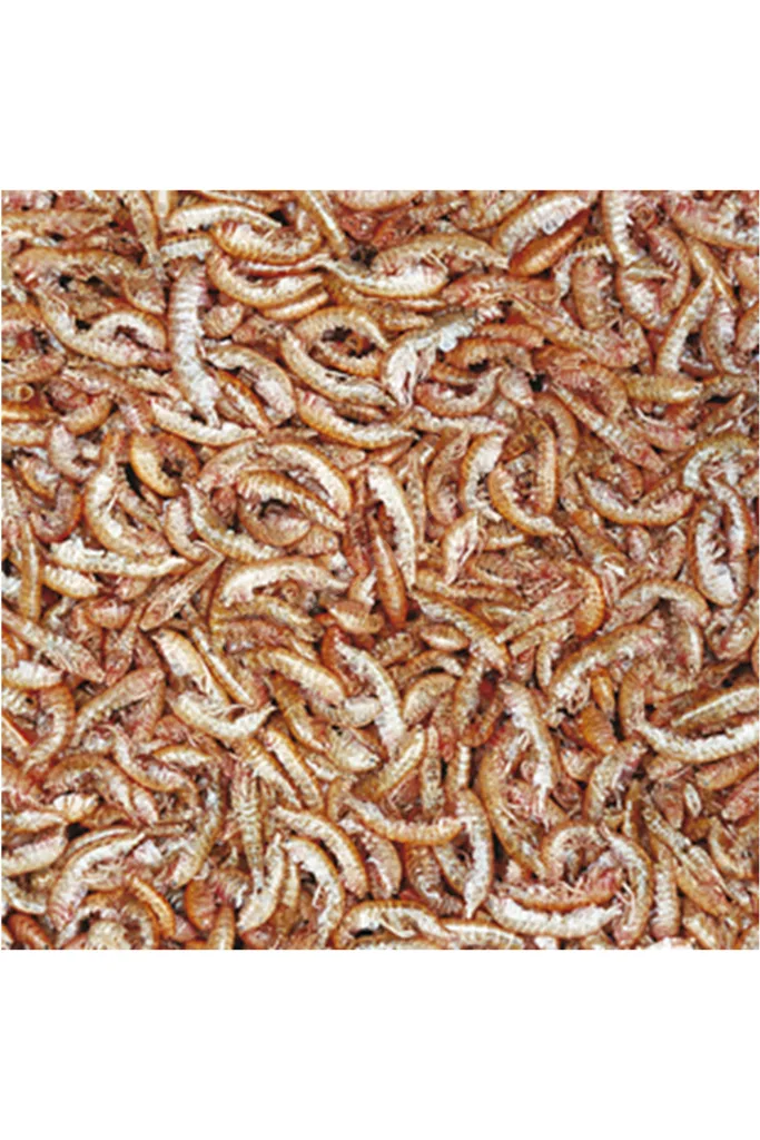 Gammarus 100ml/12Gr Kaplumbağa Yemi