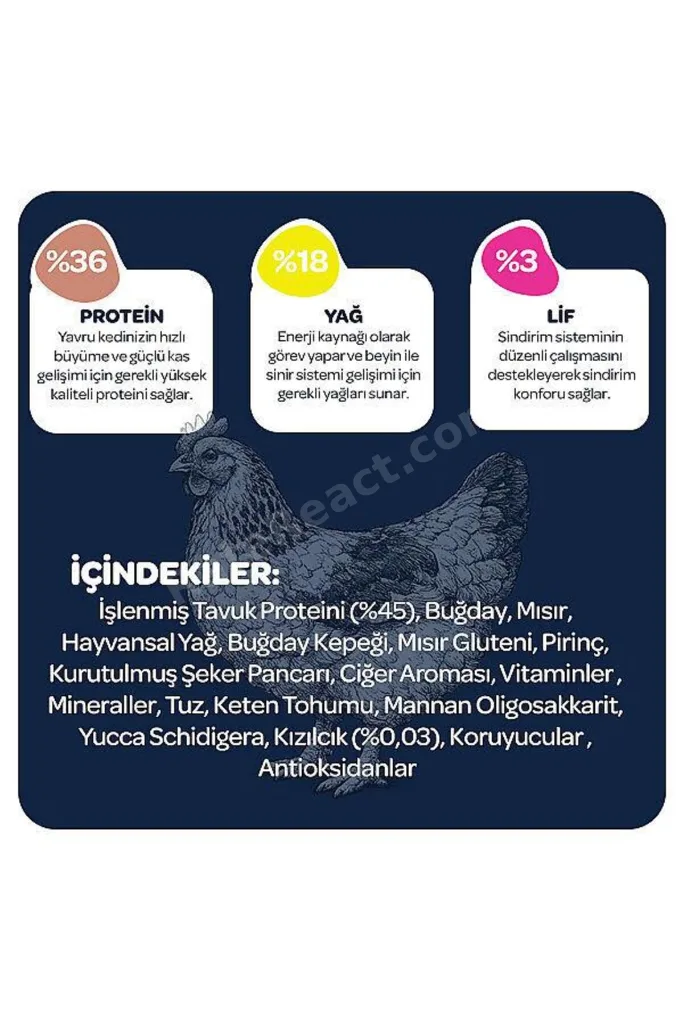 Kitten Tavuklu ve Kızılcıklı Yavru Kedi Maması 2 kg