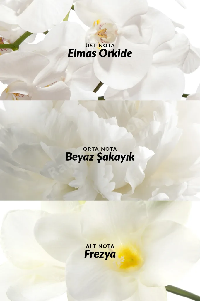 Incandessence Kadın Parfüm Edp 30 Ml. İkili Set