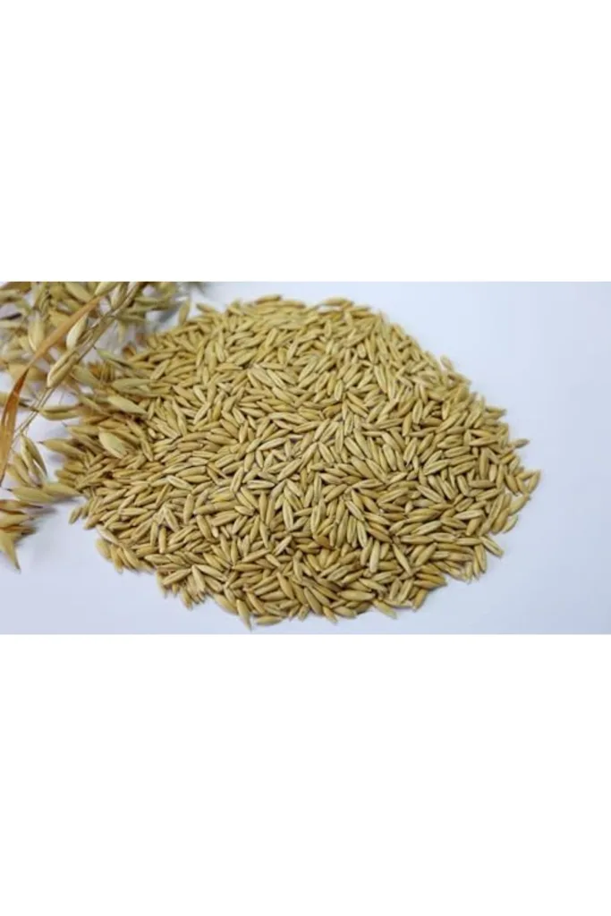 TTKTEKNOLOJİ Yulaf Kuş Yemi 300 Gr TTKTEKNOLOJİ 2026 395519