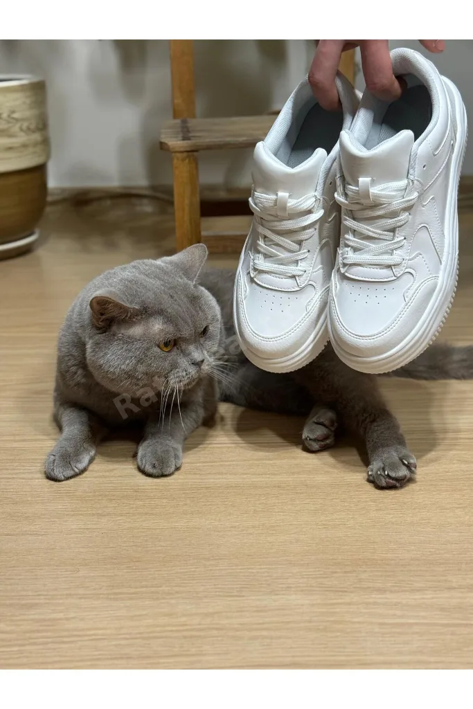 Beyaz Kadın Sneaker Günlük Ayakkabı