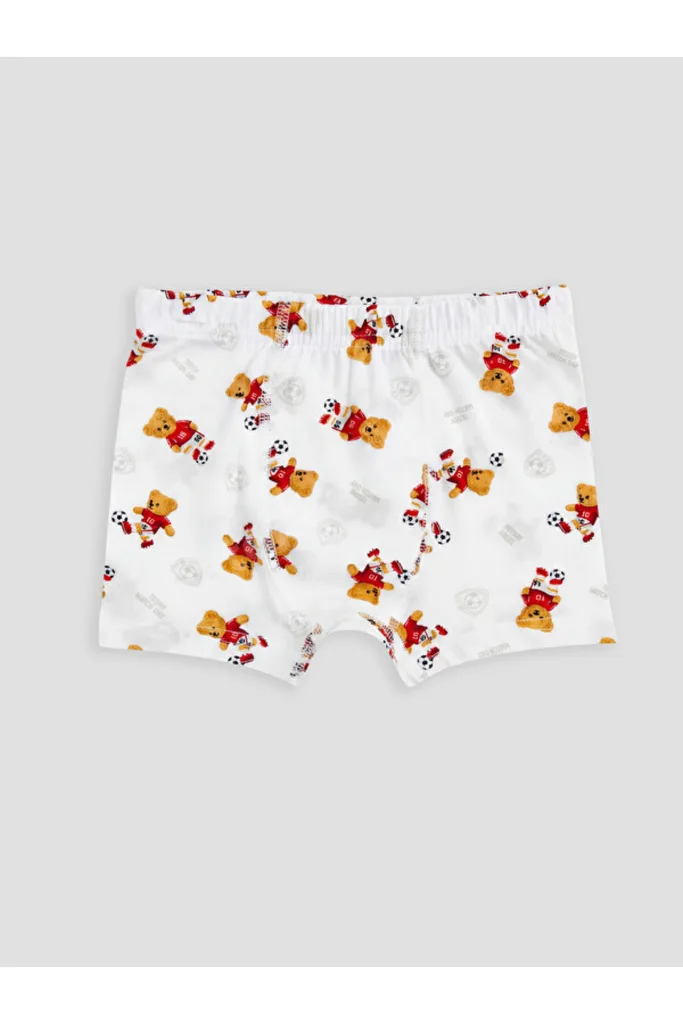 Timeless Clothing & Zamansız Seçimler Ayıcık Teddy Baskılı Erkek Çocuk Boxer 3'lü