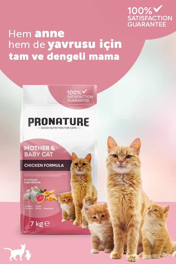 Mother & Baby Kuru Kedi Maması Tavuk Etli 7KG