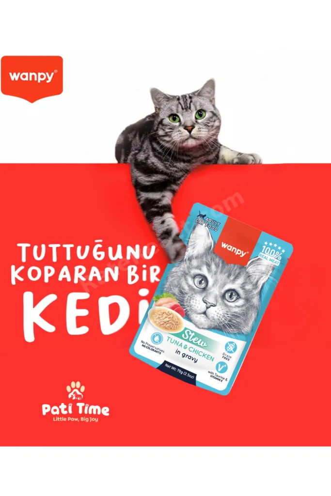 12li Karışık Yetişkin Kedi Yaş Maması 4 Lezzet Premium Kalite 12 x 70 gr