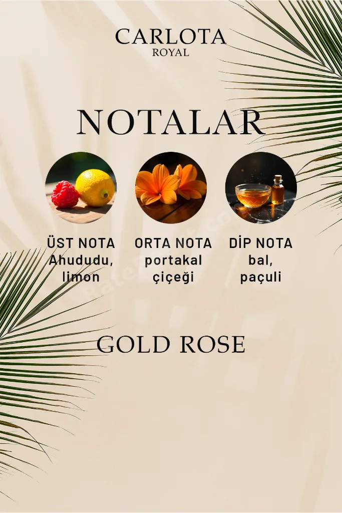 Gold Rose Erkek Parfüm 50 ML