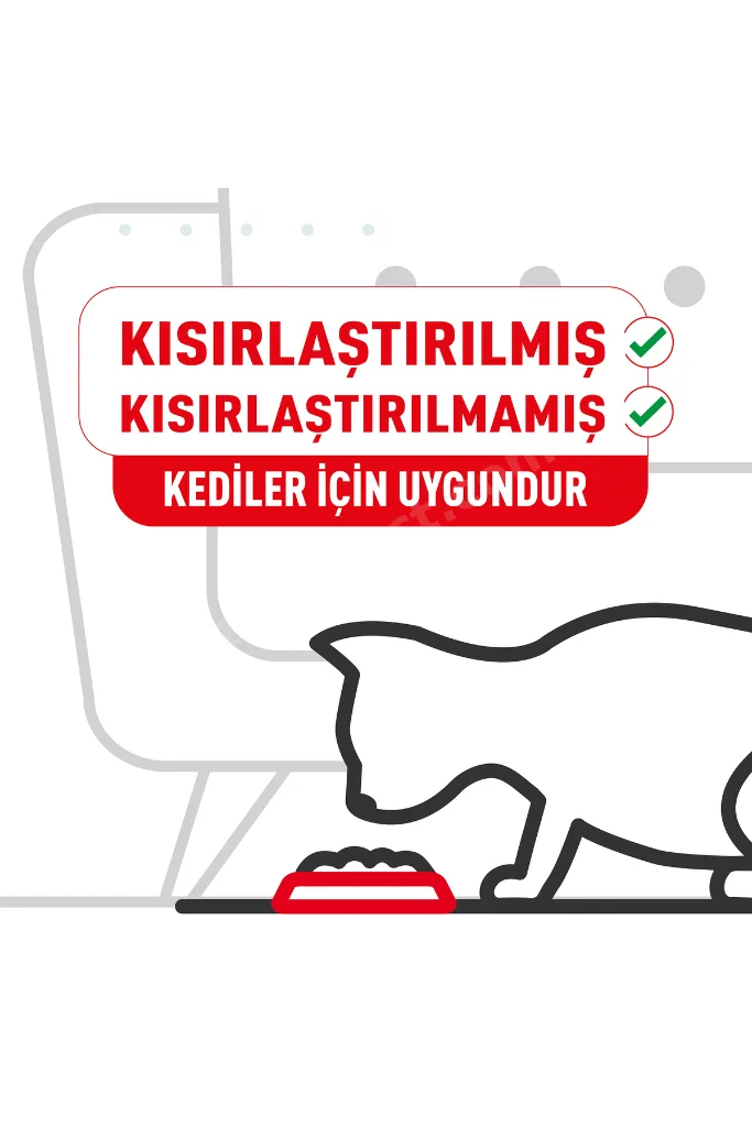 Ageing 11+ Yaşlı Ve Ileri Yaştaki Kedi Yaş Mama 85 gr X 12 Adet Gravy Soslu