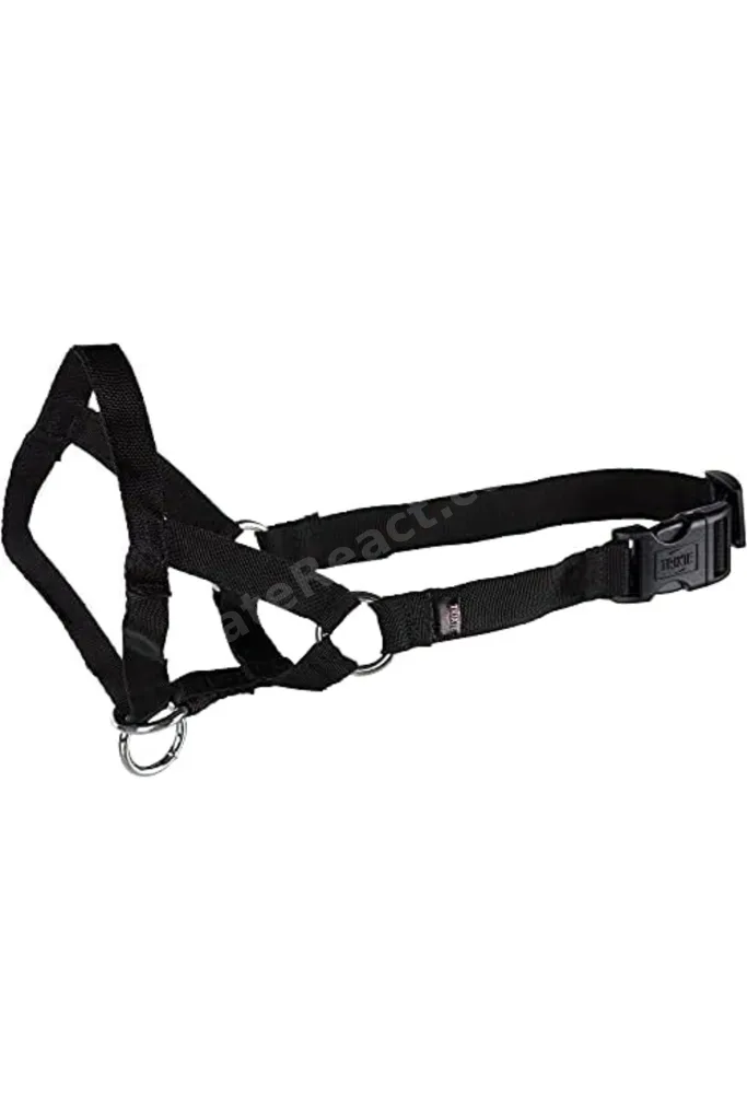 TTKTEKNOLOJİ Uzman Köpek Eğitim Tasması L-Xl 37Cm TTKTEKNOLOJİ 2026 395519