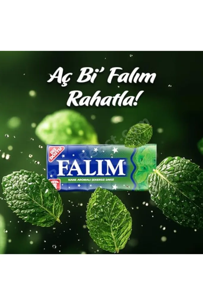 meala kozmetık store 5'li Nane Aromalı Şekersiz Sakız 35 gr 2026 919086