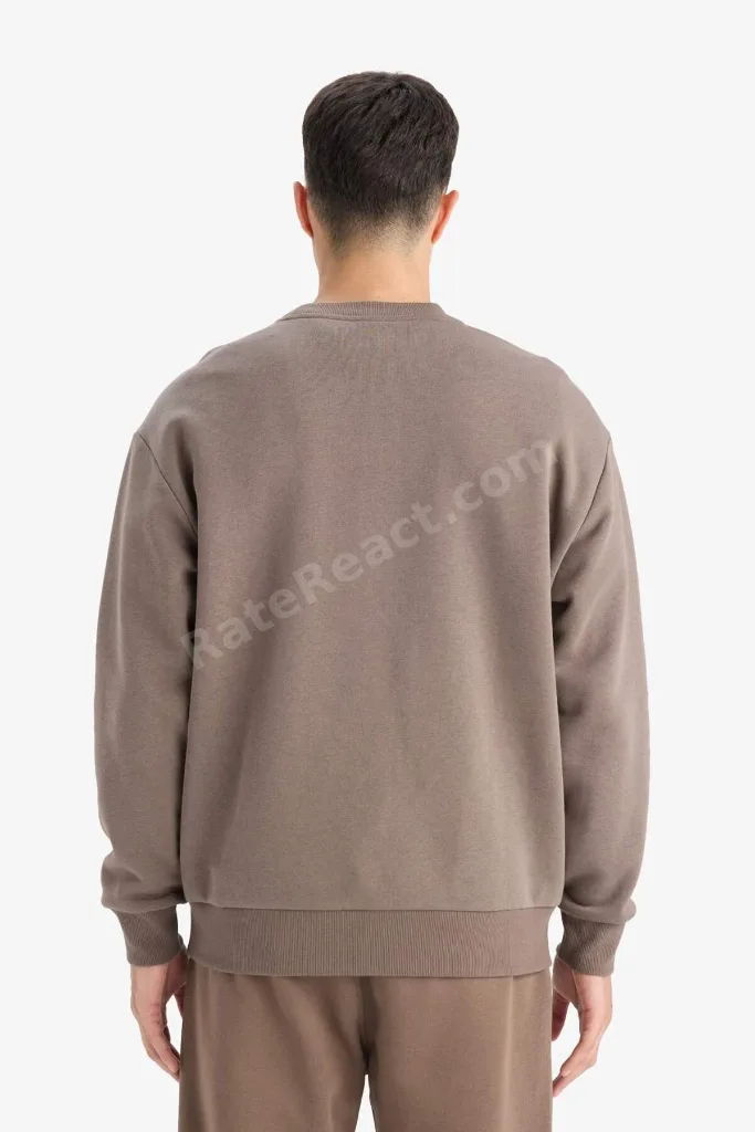 Relax Fit Bisiklet Yaka Kalın İçi Yumuşak Tüylü Basic Düz Sweatshirt T5139AZ25AU