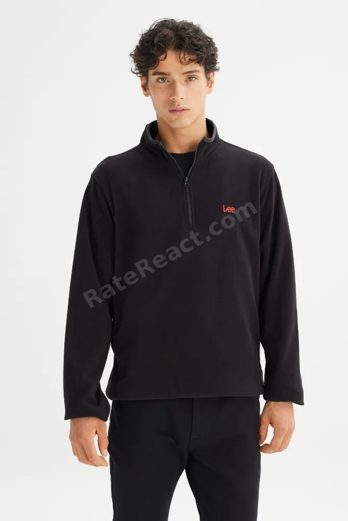 Regular Fit Normal Kesim Dik Yaka Fermuarlı Erkek Siyah Polar