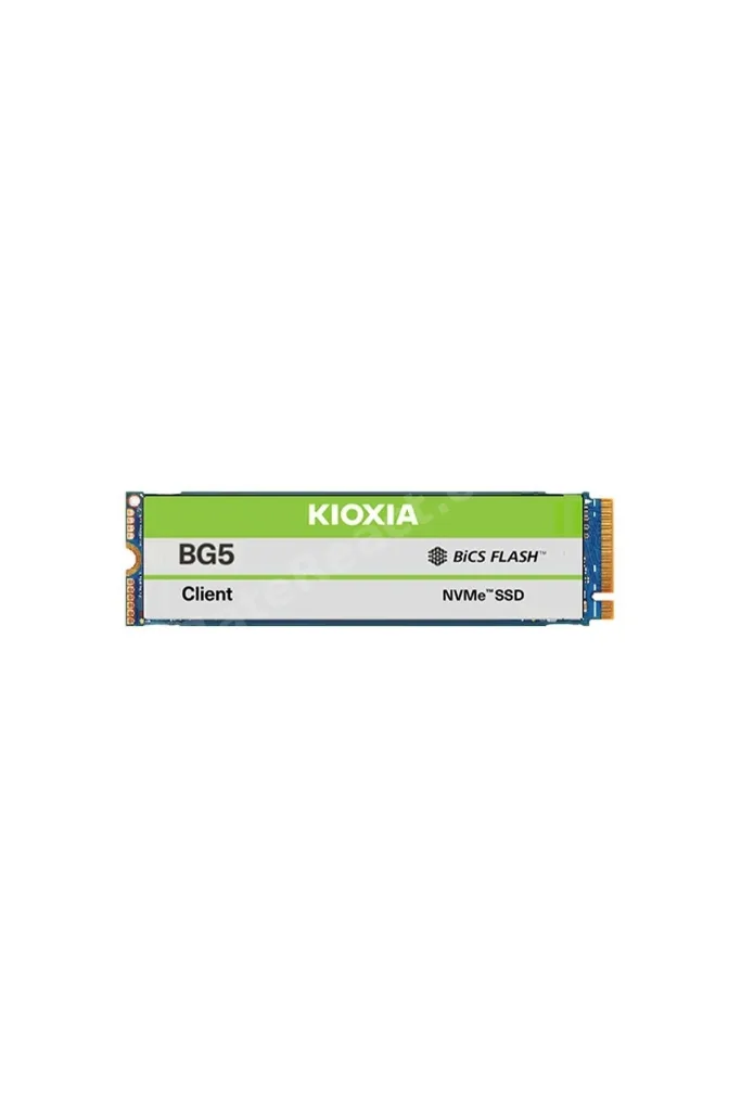 BG5 512GB M.2 2280 NVMe SSD