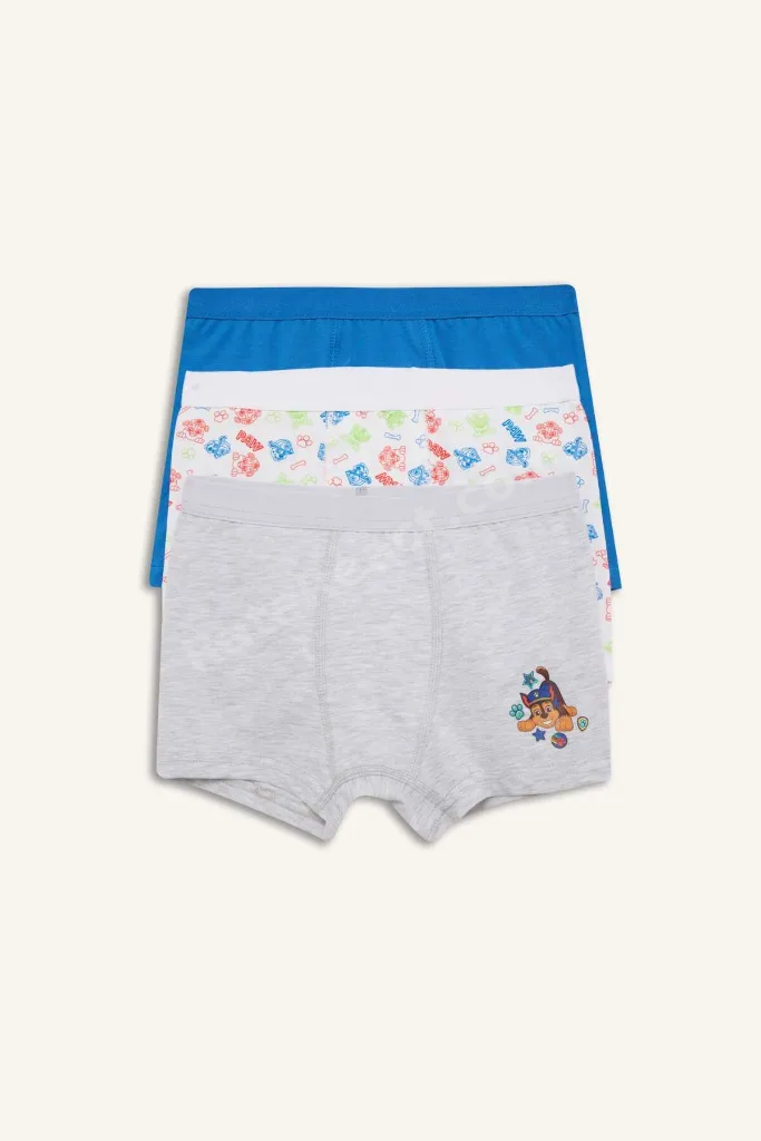 Paw Patrol Lisanslı Desenli 3'lü Mavi Boxer Erkek Çocuk C2901A824SM